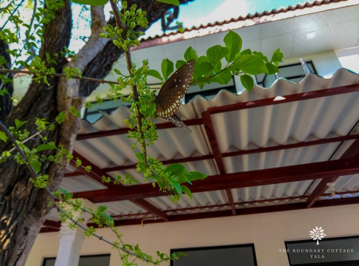 Hotel The Boundary Yala Kataragama Exteriér fotografie